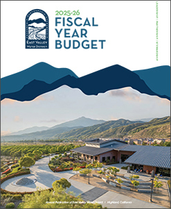 Fiscal Year Budget