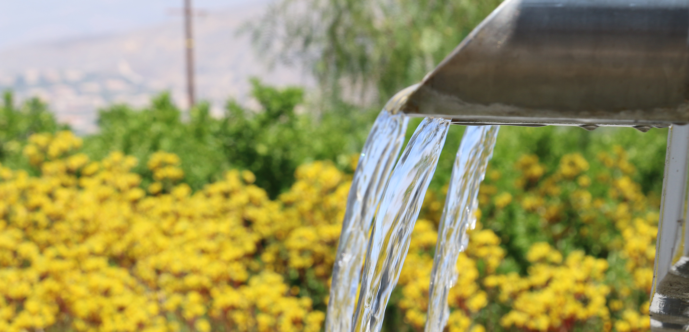 Water fountain with yellow flowers in the background